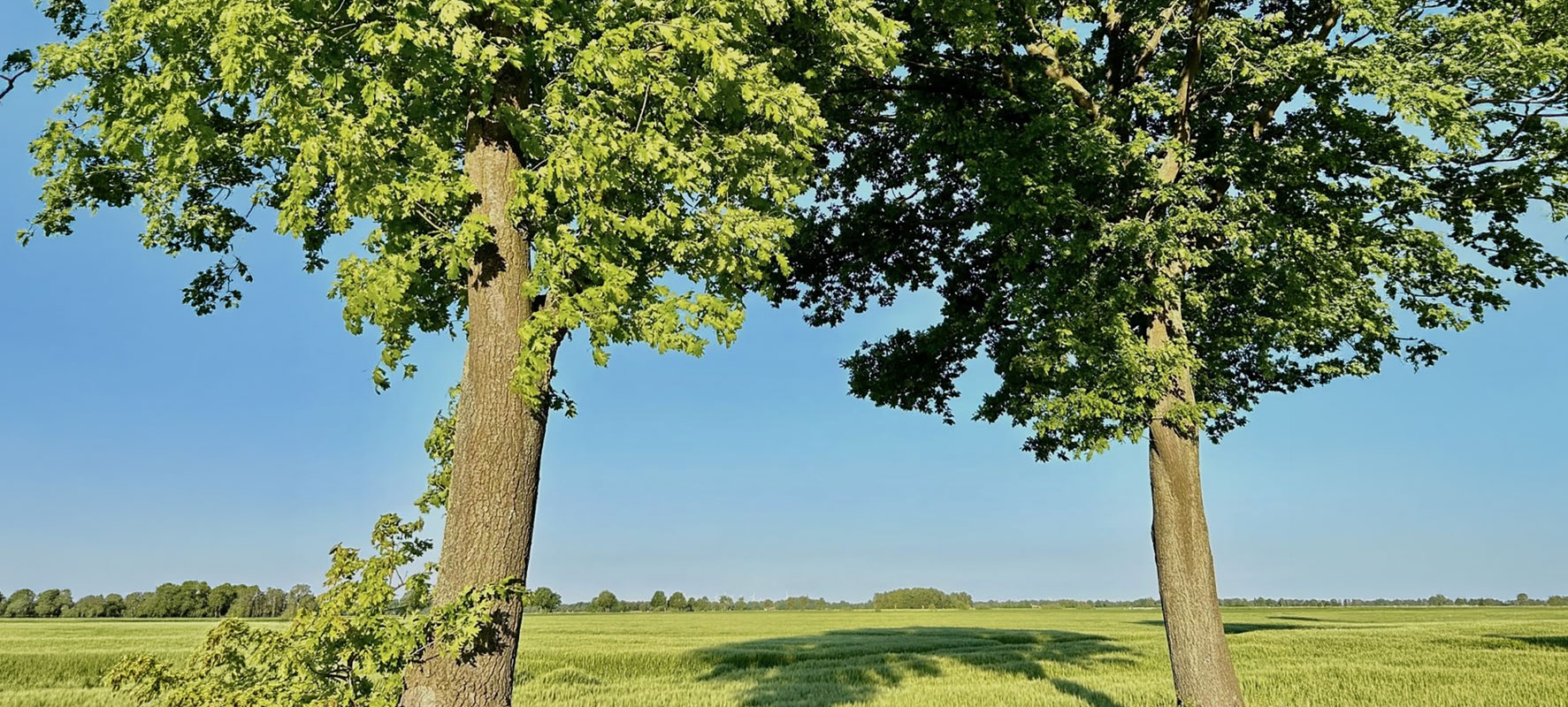 SICHTWEISEN - PSYCHOLOGISCHE PRAXIS