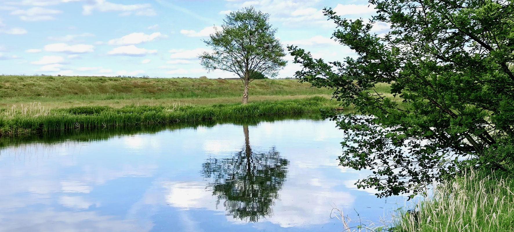 SICHTWEISEN - PSYCHOLOGISCHE PRAXIS