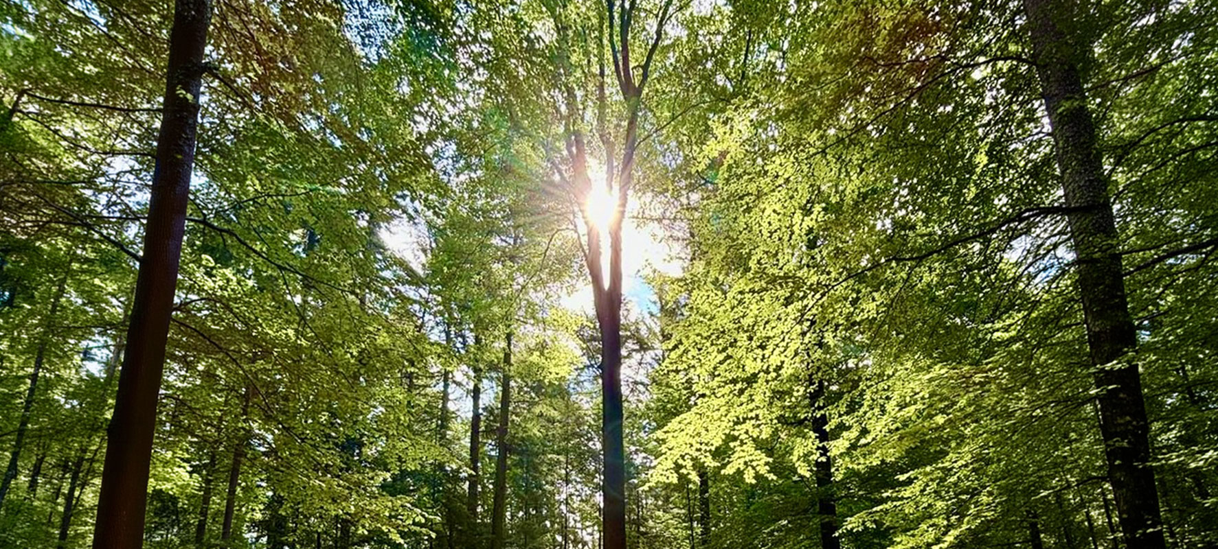 SICHTWEISEN - PSYCHOLOGISCHE PRAXIS